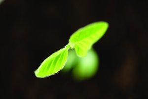 大数据